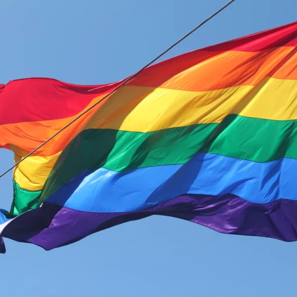 Commentary: Local officials have dropped the ball on Pride flag issue ...
