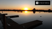 Sunset over a calm body of water with a dock and a white bird; "STOCKTONIA" text logo at the top left.