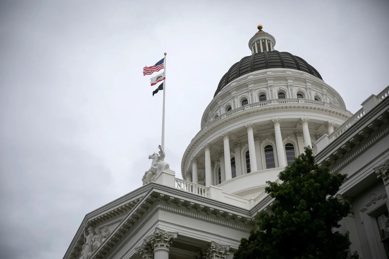 Rob Reiner was more than a Hollywood legend. He helped shape California politics