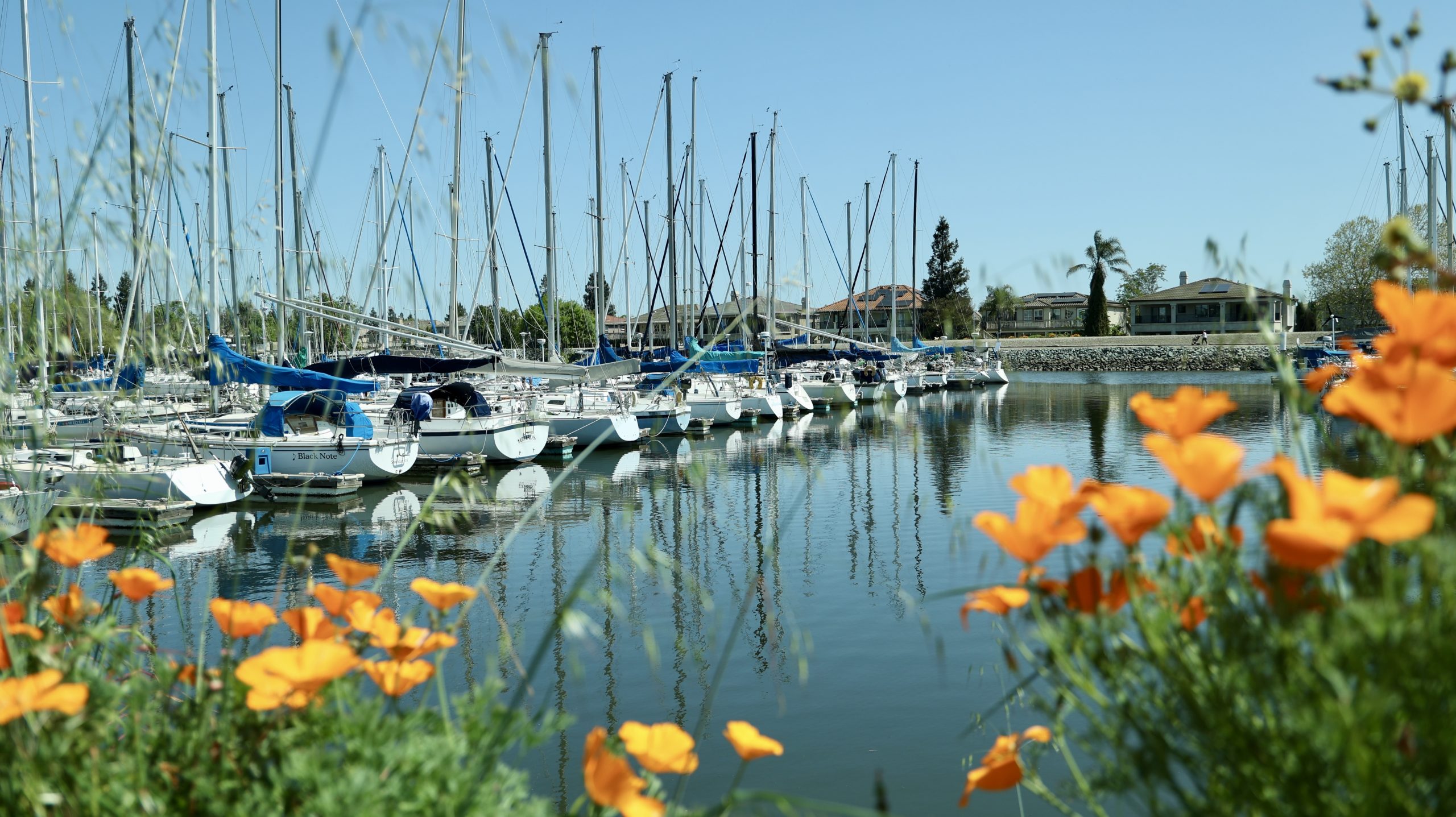 What Is Stockton's Best Kept Secret