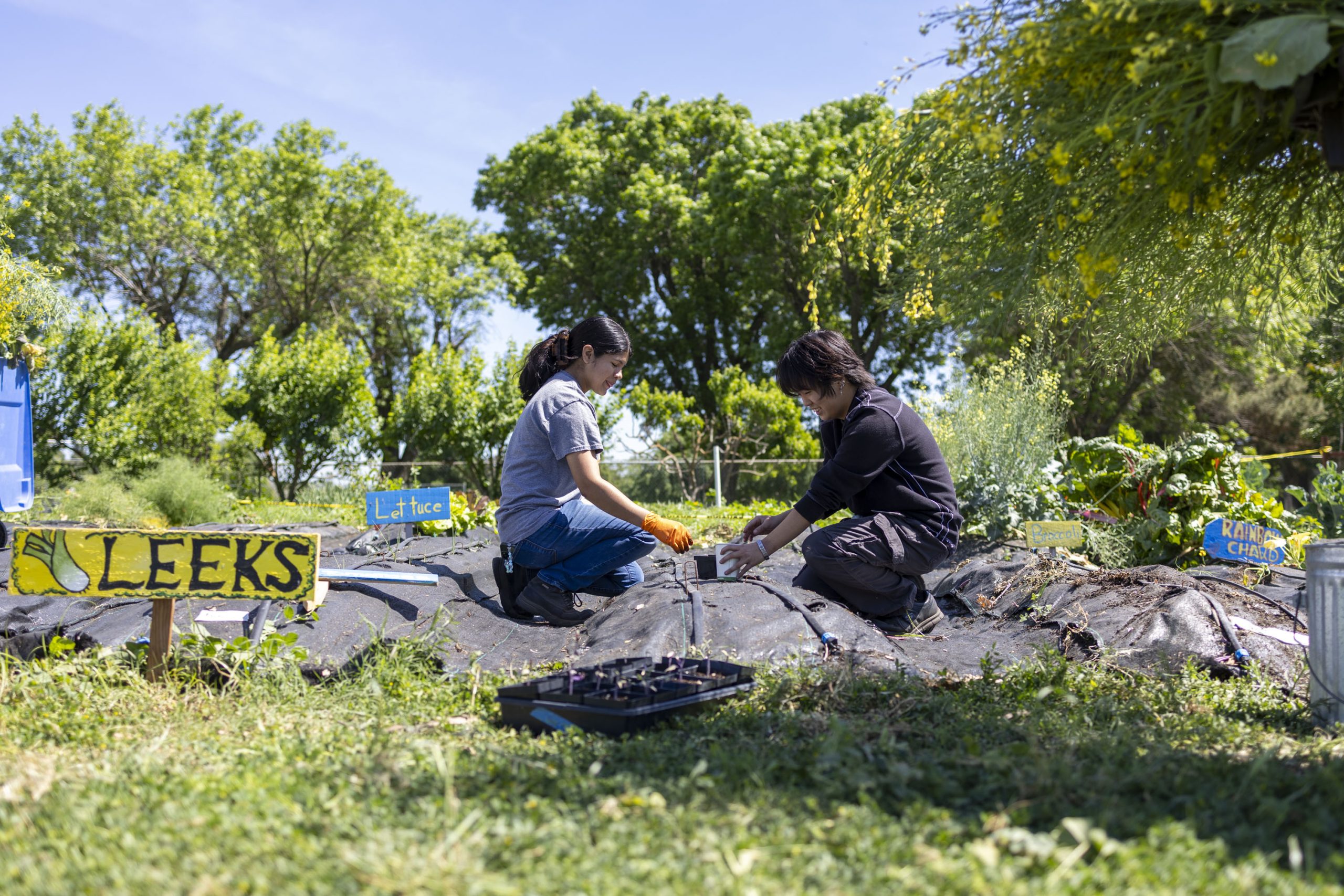 College Corps at UOP prepare for next school year